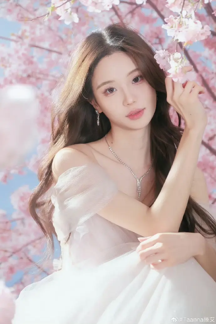 Mac写作软件界面对比